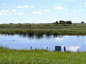 On Tuesday, September 17th, 2013 Ducks Unlimited Canada (DUC) will offer the Bayet conservation property for sale by auction during the organization’s Diamond Signature Gala in Regina.