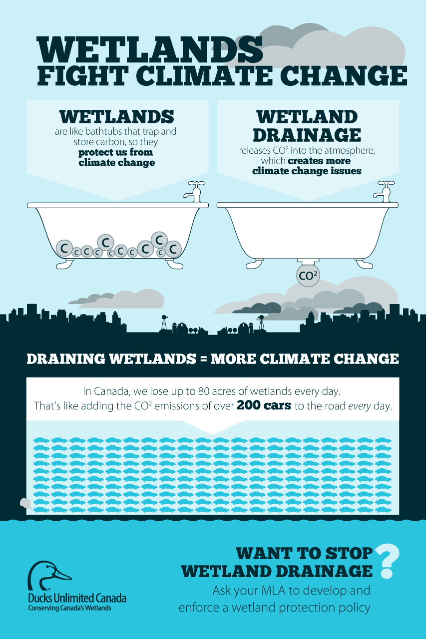 Hydroponics Hydroponic Farming Climate Change