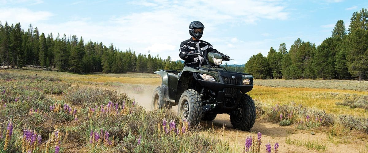 Home Ducks Unlimited Canada