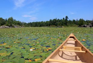 Lake Simcoe Georgian Bay Wetland Collaborative