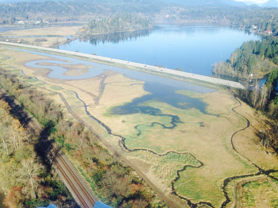 An aerial shot of the Stave River Freshwater Estuary Wetland. © DUC 