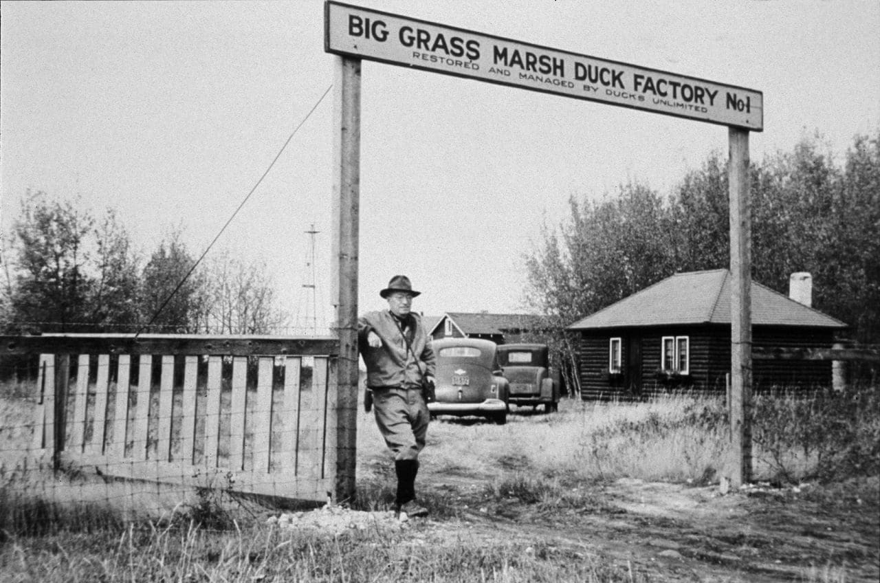 DUC’s first project, known as Duck Factory No. 1, located at Big Grass Marsh, Manitoba. ©DUC