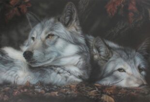 Introducing the 2017 National Art Portfolio