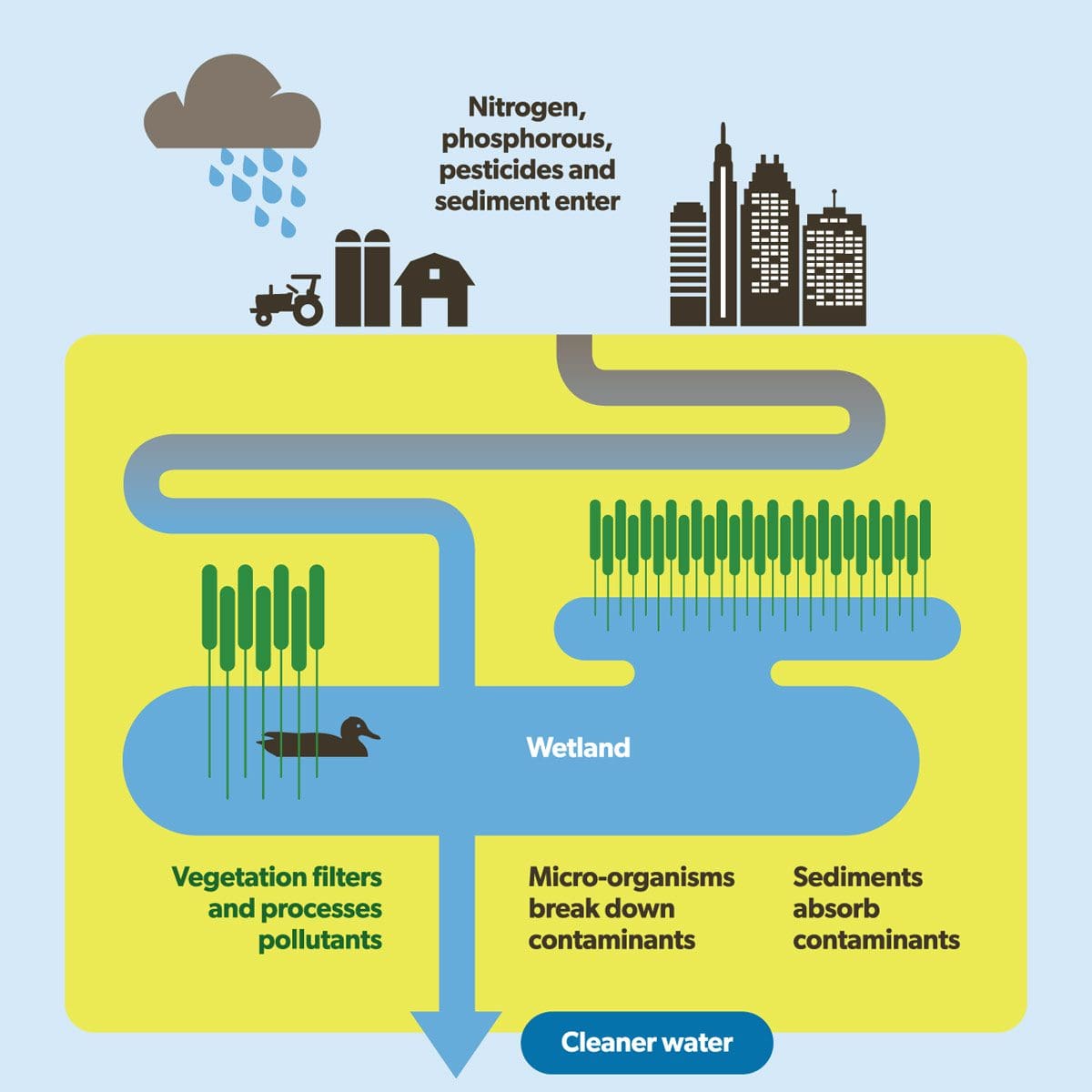 Green infrastructure infographic