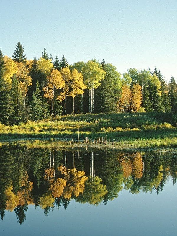 De l’aide pour notre environnement
