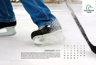 2019 Desktop Calendar Downloads