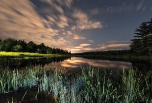 Photo essay: the diversity, beauty and power of wetlands