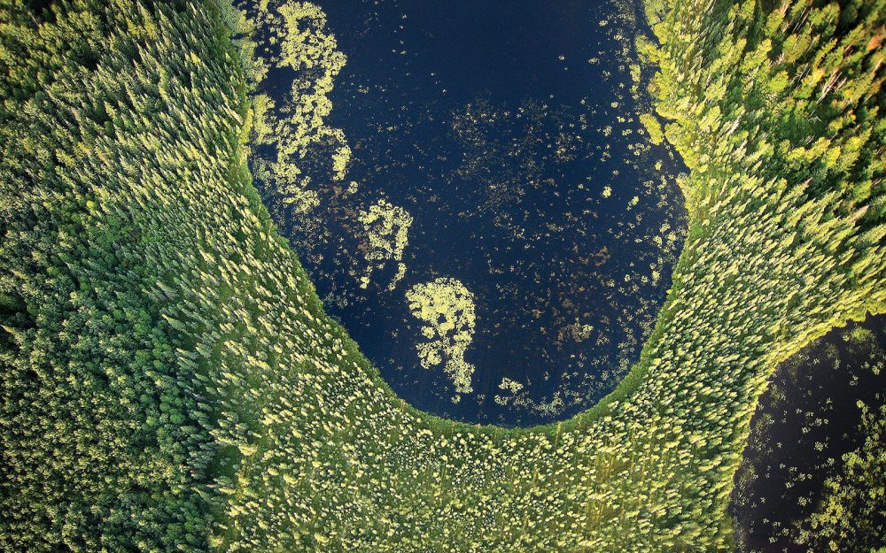 Canada’s boreal forest wetlands provide breeding habitat for waterfowl. For people, they offer employment and economic opportunities rooted in hunting, fishing, recreation and tourism.