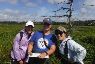 Befriending Lundigrans Marsh