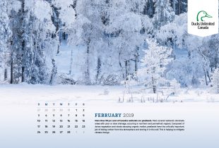 2019 Desktop Calendar Downloads