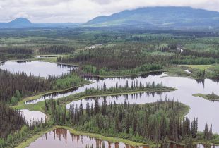 Institute for Wetland & Waterfowl Research