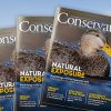 Conservator Magazine