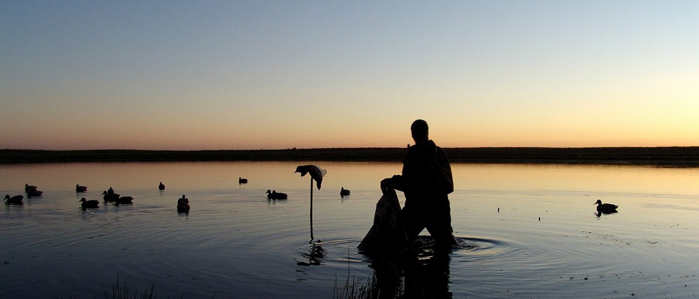 DUC Podcast Episode 6: The hunter conservationist and the radar birds