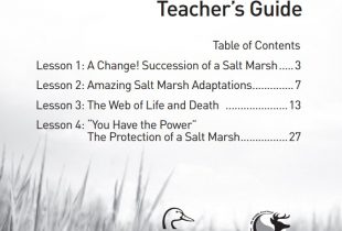 Salt Marshes: Interactions & Ecosystems (Grades 7–9)