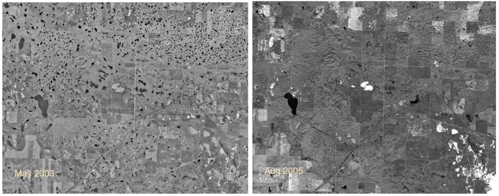These images from the RM of Morse in the Central Missouri Coteau in Saskatchewan demonstrate dramatic wetland variability over wet (2003, left) and dry (2005, right) cycles in the Canadian prairies. The number of wetlands on the landscape can vary greatly, even over relatively short time frames.