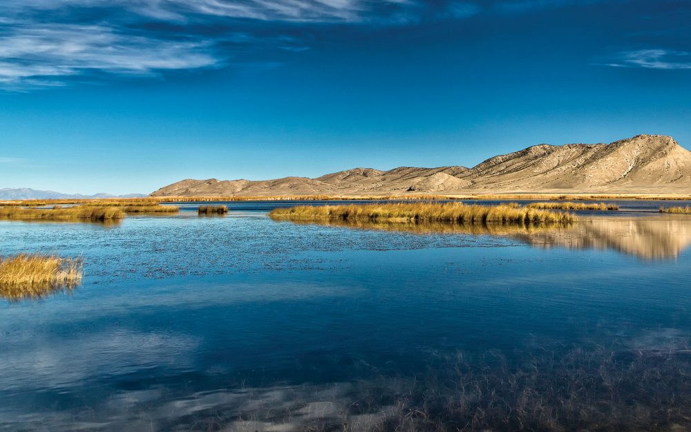 In Nevada—America’s driest state—water is the most precious resource of all. Wetlands like these are a welcome, wet respite for people and waterfowl alike.