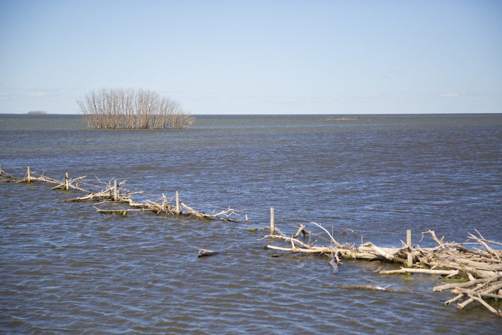 Flooding of land near the Quill Lakes.