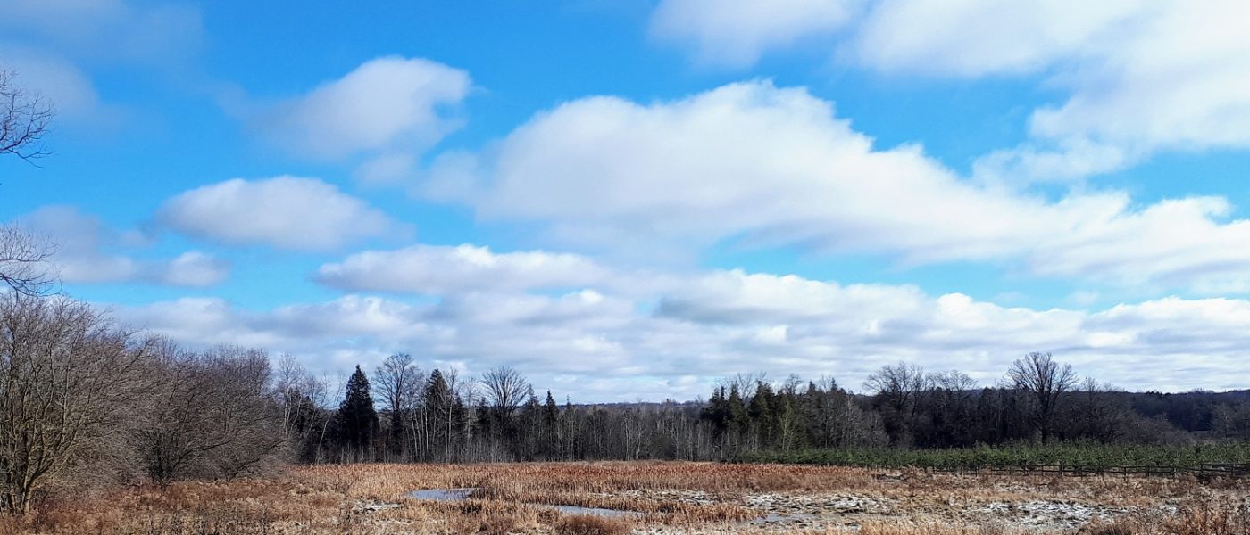 The Clark farm stands in stark contrast to a teeming 400-series highway just a few kilometres away.