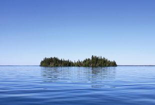 Watch: How wetlands take care of Canada’s water