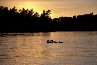 Video: keeping Canada’s water safe