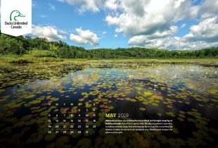 2019 Desktop Calendar Downloads