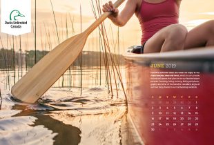 2019 Desktop Calendar Downloads