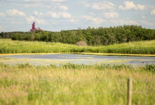 Pembina Pipeline Corporation launches new partnership with Ducks Unlimited Canada