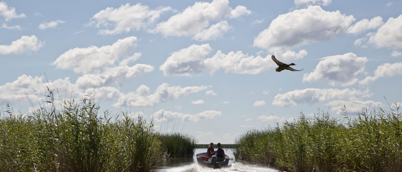 Thank you to the thousands of people who stepped up to help <em>Rescue Our Wetlands</em>.