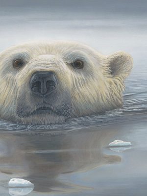 Portfolio Artists