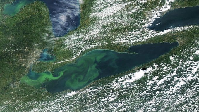Algae on Lake Erie in 2015 Credit NASA-Aqua-MODIS