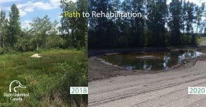 Image of habitat rehabilitation