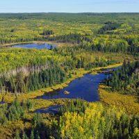 National Boreal Program