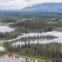 Institute for Wetland & Waterfowl Research