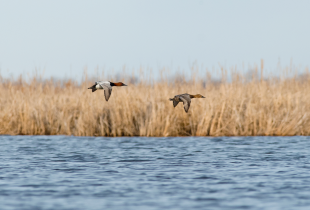 Major investments in the Prairie Pothole Region