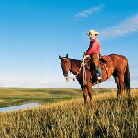 Share the Land