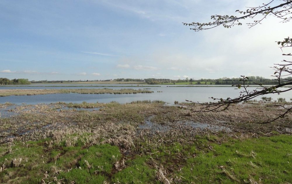 Fullerton Marsh