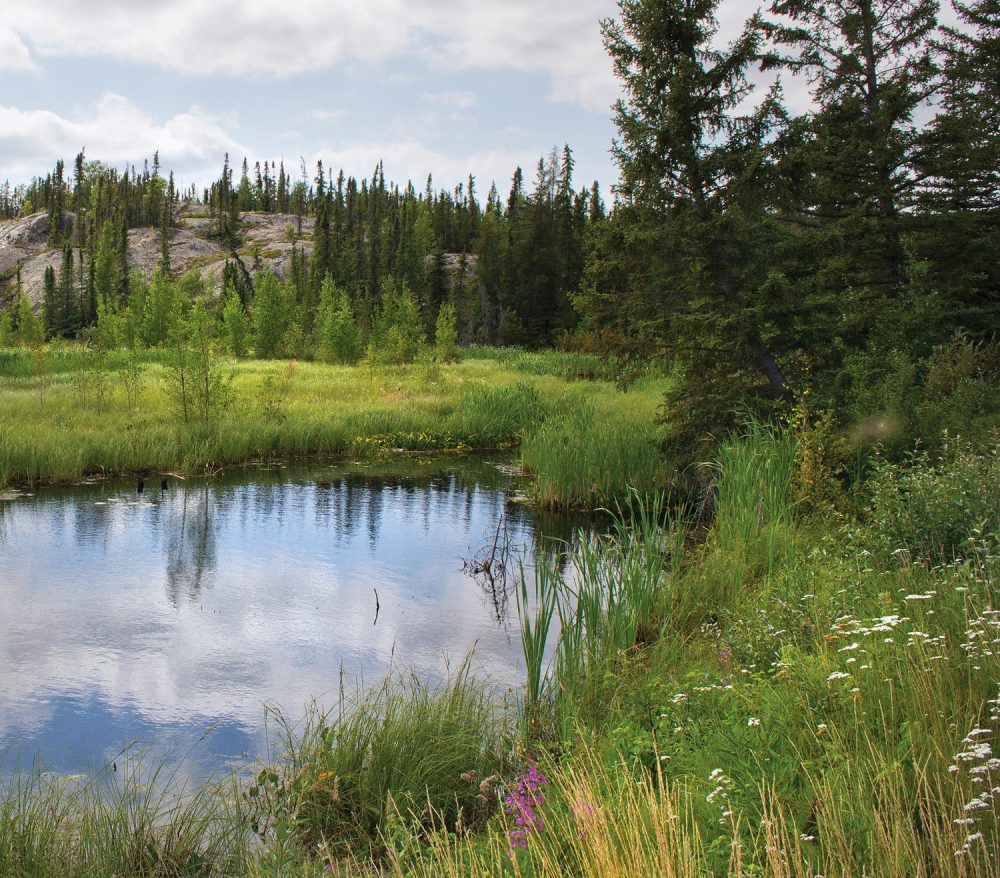 DUC and the Akaitcho Treaty 8 Tribal Council undertake an impressive conservation effort in the boreal forest