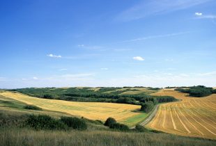 Revolving Land Conservation Program