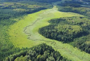 Ducks Unlimited Canada and Louisiana-Pacific Building Solutions sign landmark conservation agreement to support 6.2 million acres in Manitoba’s boreal forest