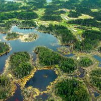 Habitat Conservation