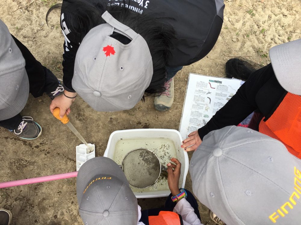 Edmonton students exploring the John E. Poole Interpretive Wetland.