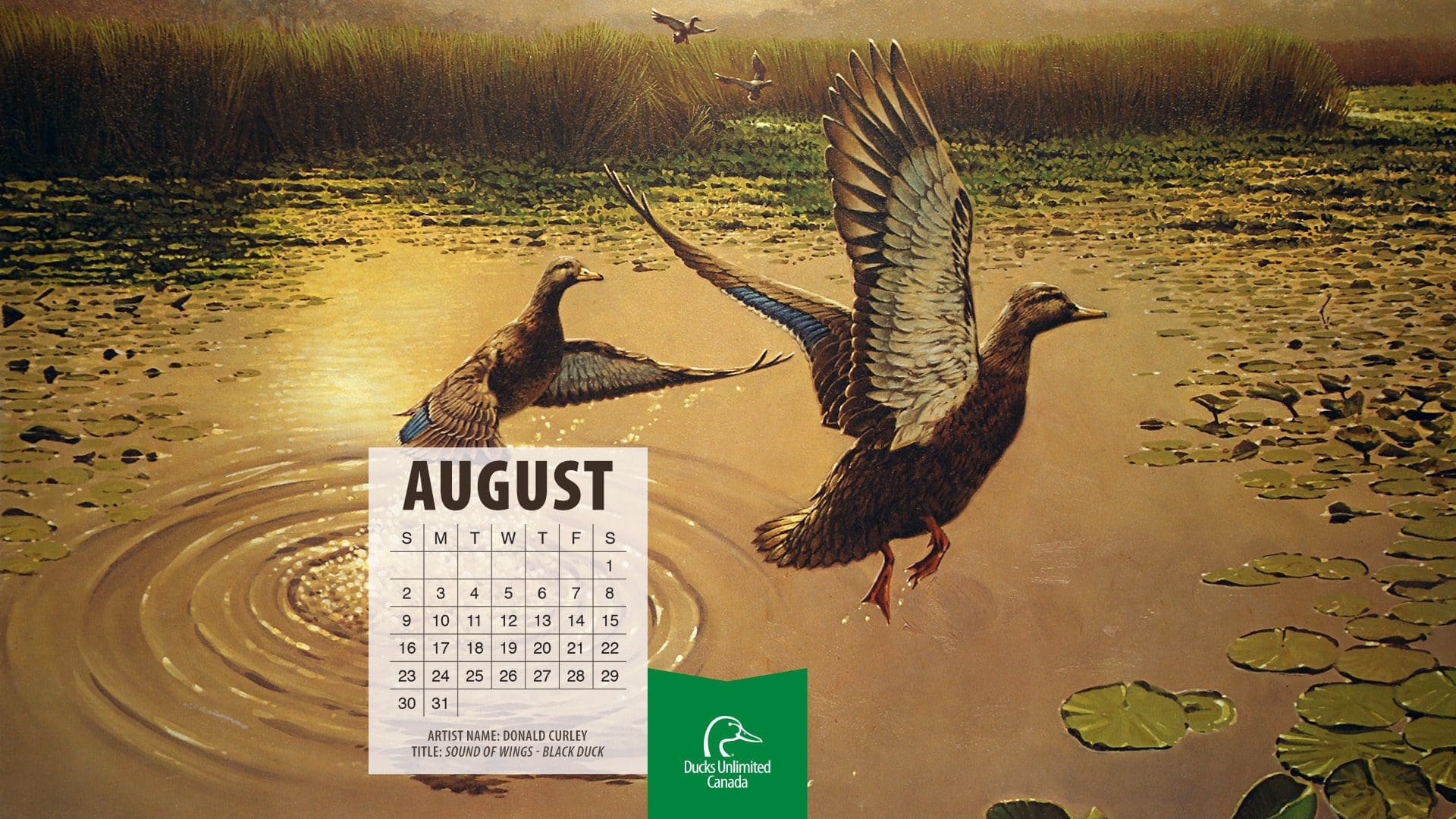 2020 Desktop Calendar Downloads Ducks Unlimited Canada