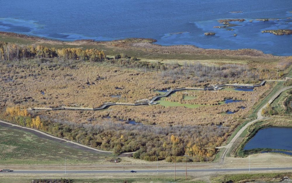 Poole Interpretive Wetland