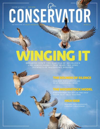 Conservator Magazine