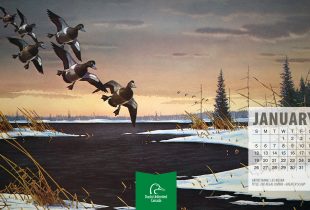 2020 Desktop Calendar Downloads