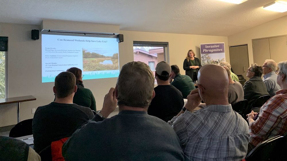 Findings indicate that the restored wetlands acted as “phosphorus sinks,” retaining nutrients in the wetland basins in all four seasons—regardless of the relative ages of the restorations.