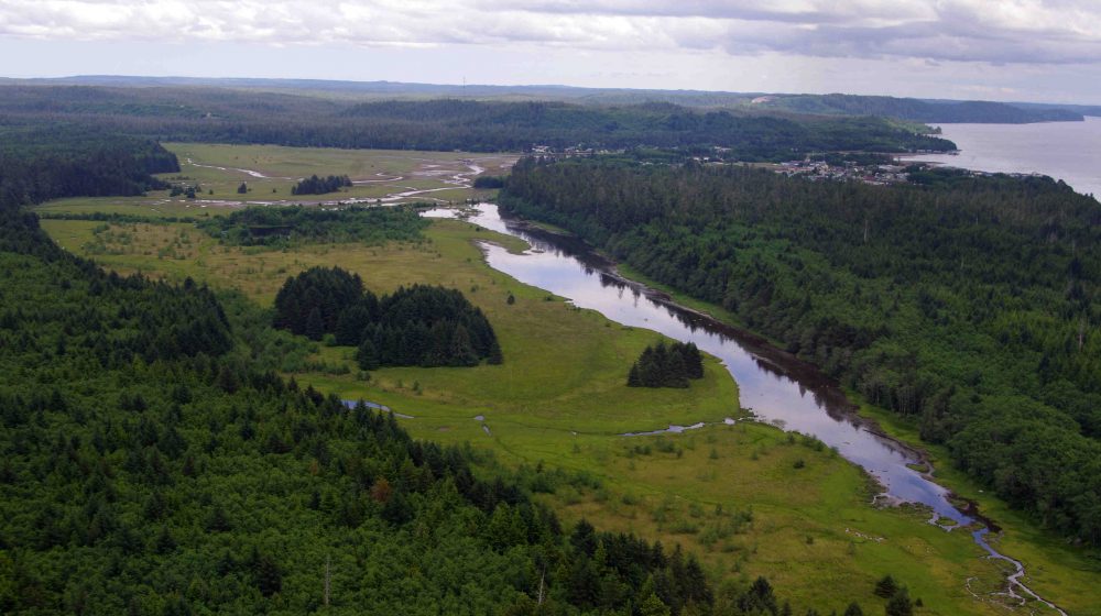 New Tide and Local Partnership Restores Delkatla Slough’s Upper Marsh
