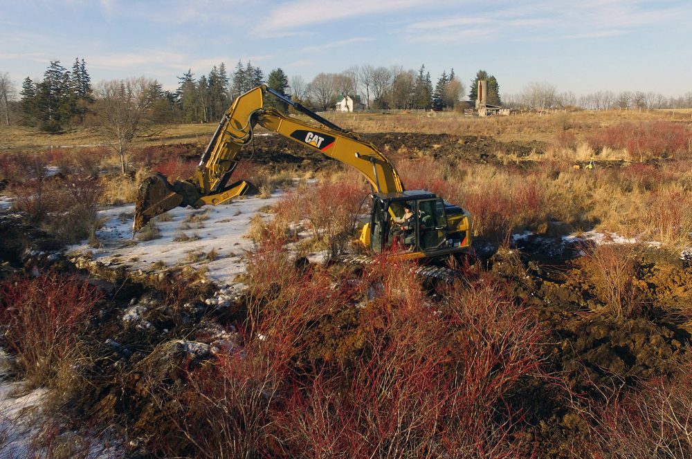 FRAMED BY THE TRIBE FAMILY HOMESTEAD, NICK SWEAZEY DIGS AMONGST THE RED SCRUBBY BRUSH, CLOSE TO THE BANKS OF BIG CREEK.