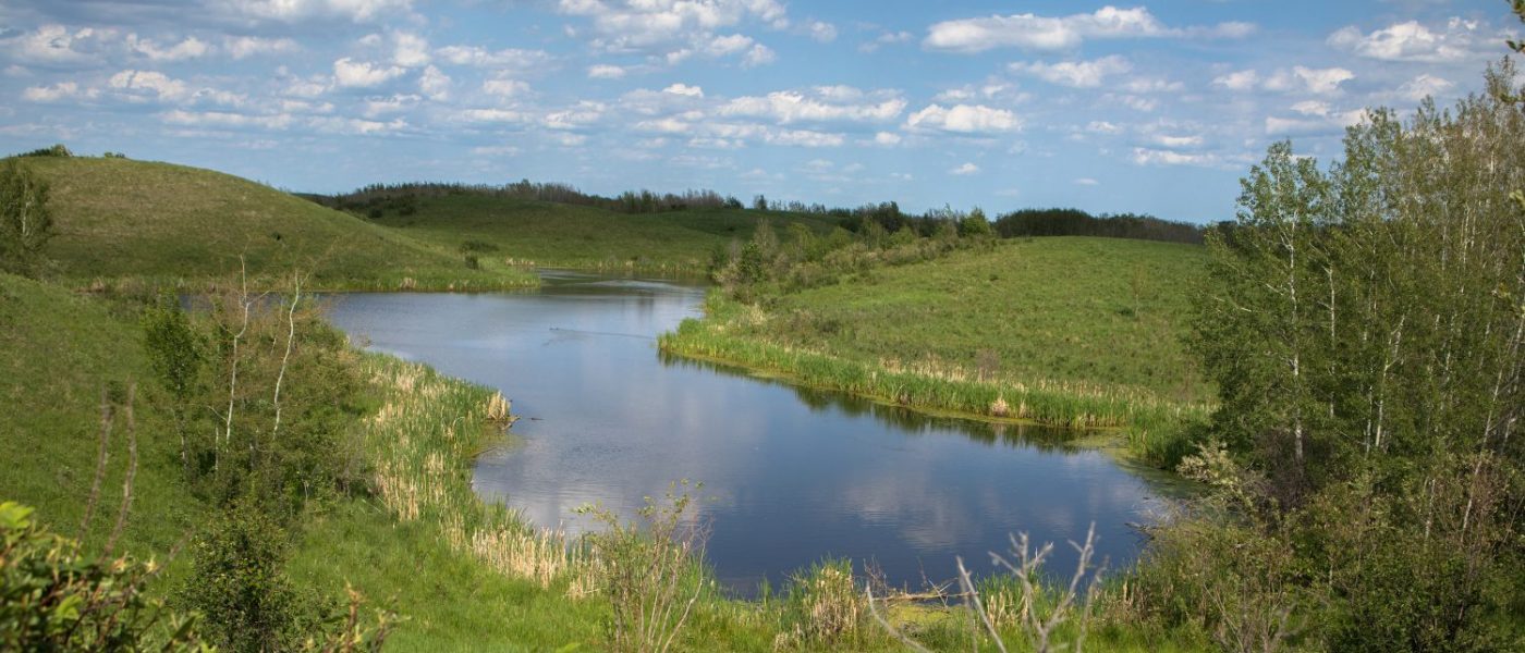 Natural infrastructure — what is it?