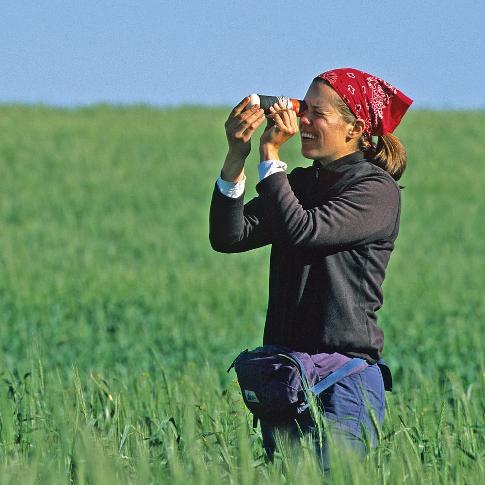 A waterfowl biologist uses a field candler to see embryo development.